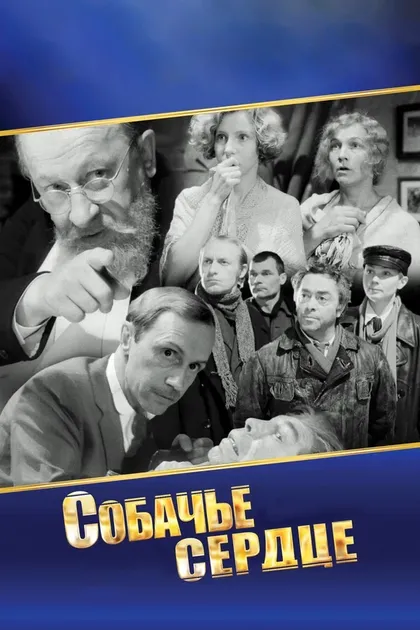 Владимир Бортко